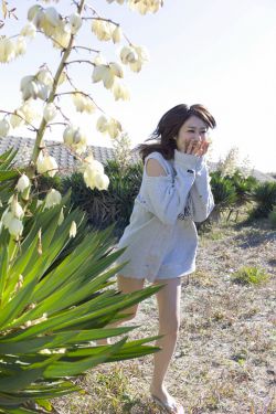 黑兽樱花动漫